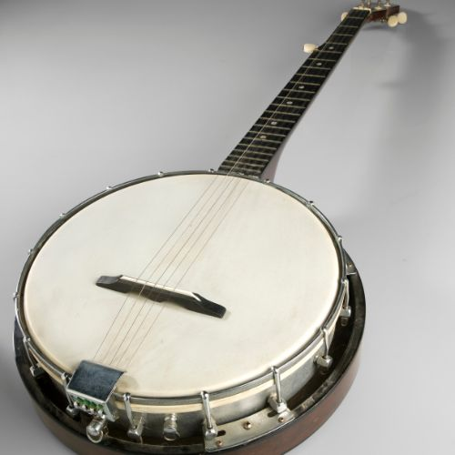 5 string banjos are the most common style of banjo.
